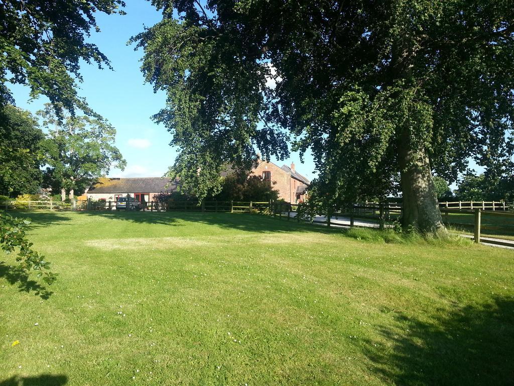 Ty Derw Country House B&B Ритин Экстерьер фото